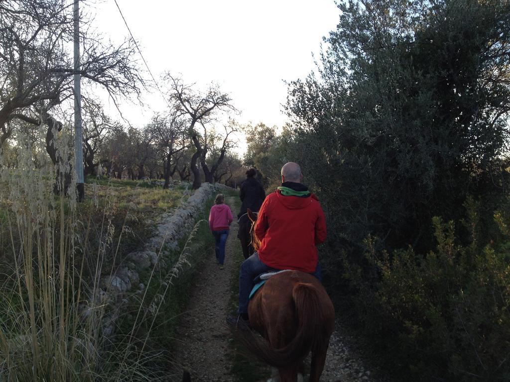 Agriturismo Vita E Natura Villa Noto Eksteriør bilde
