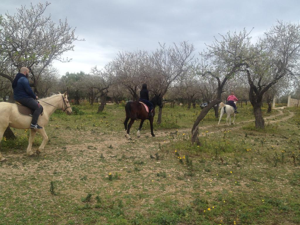 Agriturismo Vita E Natura Villa Noto Eksteriør bilde