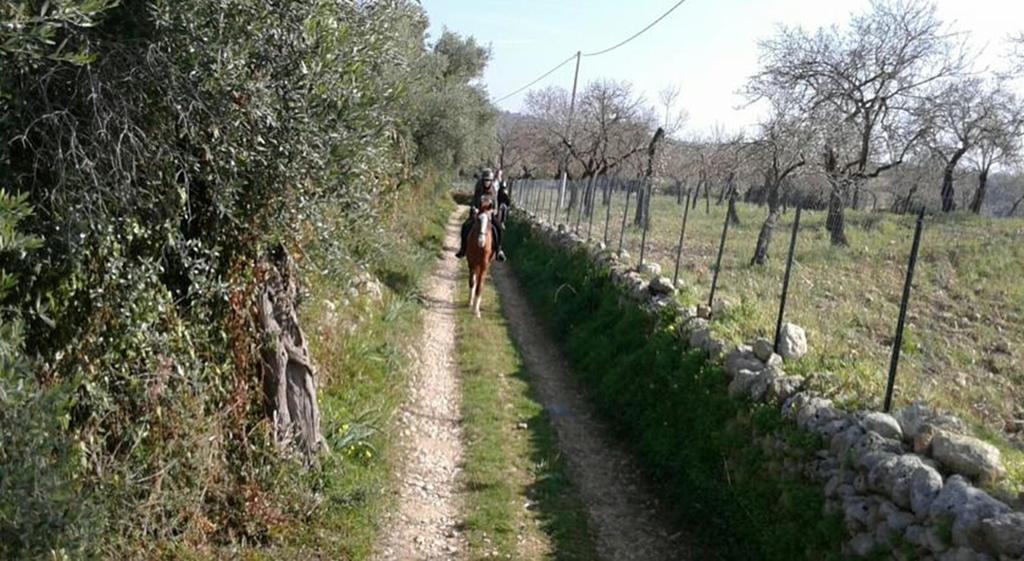 Agriturismo Vita E Natura Villa Noto Eksteriør bilde
